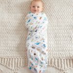 aden + anais swaddle 4 pack, paper tales 2